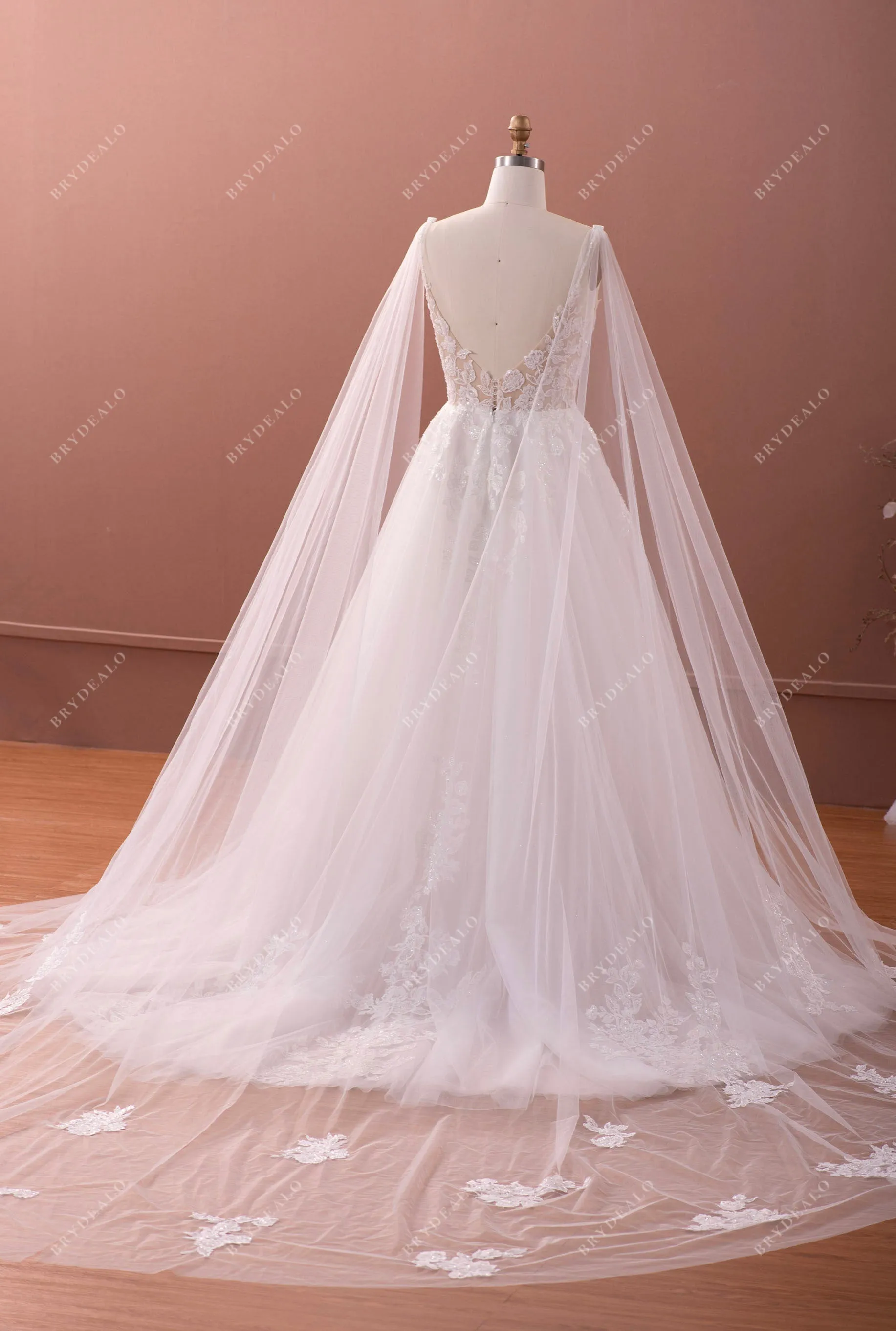 Designer Plunging Neck Lace Tulle Fairy A-line Wedding Dress