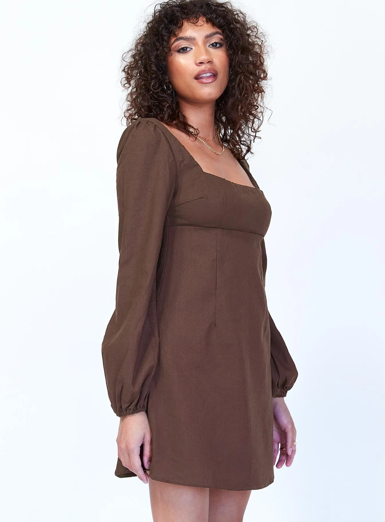 Hastings Long Sleeve Mini Dress Brown