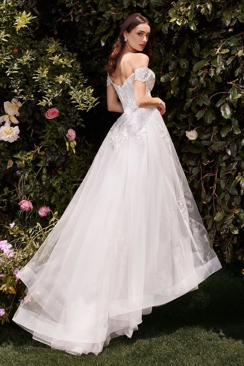 OFF THE SHOULDER A-LINE LACE & TULLE WEDDING DRESS CDC159W